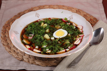 Okroshka. Cold summer vegetable soup with homemade kvass