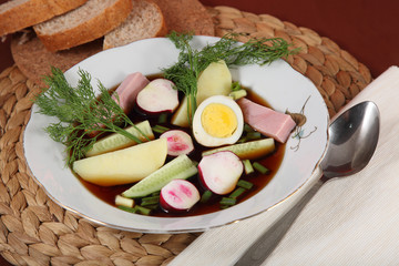 Okroshka. Cold summer vegetable soup with homemade kvass
