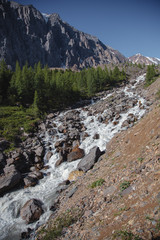 Rocks and noisy river, highlands. Landscape Of The Altai Mountains