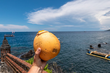 Man hand holding young fresh organic coconut on a tropical background. Bali island, Indonesia.