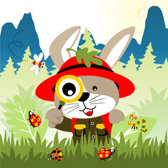 Rabbit cartoon with bugs in forest