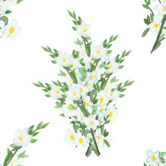 Watercolor hand painted pattern composition with apple fruit apples blooming branches and green leaves