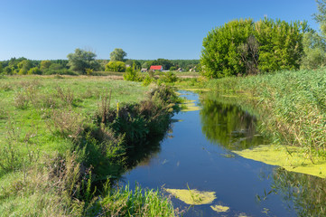 Pictorial summer landscape with small river Merla in Mala Rublivka village, Poltavskaya oblast,  Ukraine