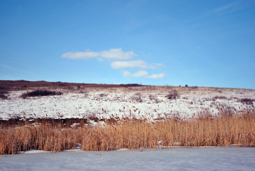 Yellow dry reeds on lake covered with ice bank, hill covered with snow, blue cloudy sky background