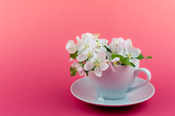 White spring apple tree blooming flowers in a cup