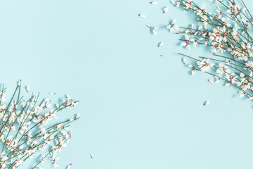 Flowers composition. White flowers on pastel blue background. Spring, easter concept. Flat lay, top view, copy space