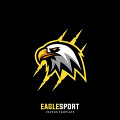 Eagle Sport Concept Designs illustration vector template