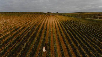 Beautiful wedding couple posing in vineyard