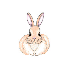 Rabbit, bunny marker illustration, sketch in cute cartoon style.