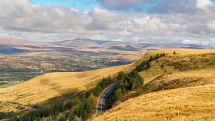 A sheep in the evening sun near Treorchy, overlooking the Ogmore Valley in Rhondda Cynon Taf, Mid...