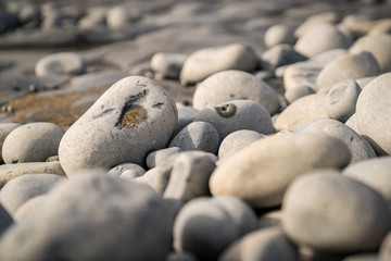 The stones of Monknash Beach, Vale of Glamorgan, Wales, UK