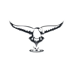 duck pintail logo vector