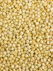 Close photo of Quinoa Seeds, background made of Quinoa seeds. Quinoa seeds from Bolivia and Peru