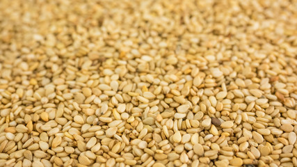 Close photo of Sesame seeds, background made of sesame seeds