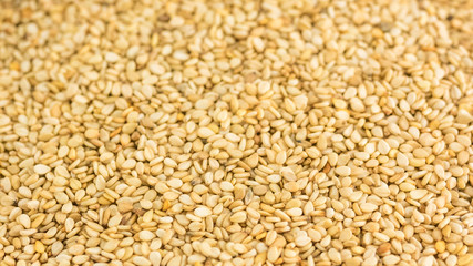 Close photo of Sesame seeds, background made of sesame seeds