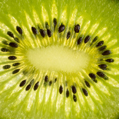 Slice of kiwi fruit with backlight, close-up photo of a kiwi, raw green fruit.