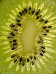 Slice of kiwi fruit with backlight, close-up photo of a kiwi, raw green fruit.
