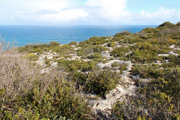 Fototapeta na wymiar Littoral on Kangaroo Island (Australia)
