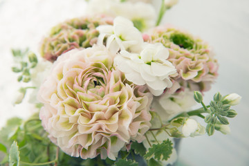 ピンクとグリーンのラナンキュラス