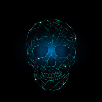 Skull forms lines triangles and particle style design Illustration vector