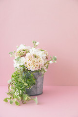 ピンクとグリーンのラナンキュラス