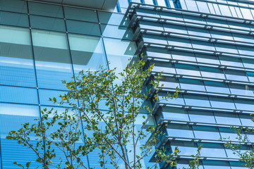 modern office building with green trees.