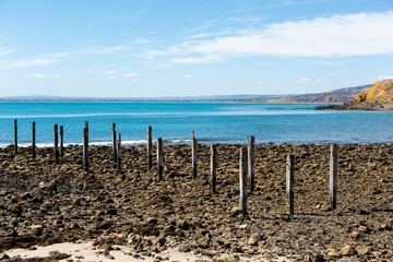 Naklejka premium Myponga Jetty ruins on a calm bright sunny day at Myponga Beach Fleurieu Peninsula on 27th march 2019
