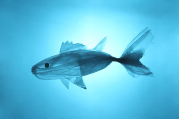 Plastic trash in the sea. Pollution of the world ocean waste. Silhouette of fish from a used plastic bag.