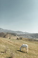 Girl travel blogger outdoors. The ancient capital and the Jvari monastery, Georgia.