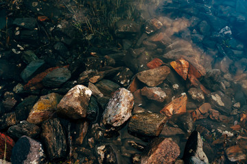 Plants and stones on bottom of mountain lake with clean water close-up. Texture of smooth pure water surface. Natural background with underwater vegetation in transparent water. Clear water of lake.