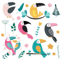 Fototapeta premium Set of different toucans and tropical leaves, flowers.Vector illustration.