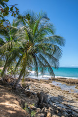 Fototapeta na wymiar plage de Cluny en Guadeloupe