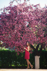 Beautiful lady stand by the big blooming tree voilet color. Happy girl with makeup in spring