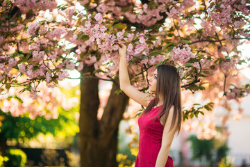 Beautiful girl posing to the photographer against the background of blooming pink trees. Spring. Sakura