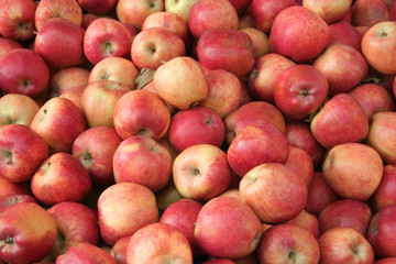 Fototapeta na wymiar apples at market