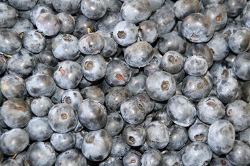 blue berries at bazaar