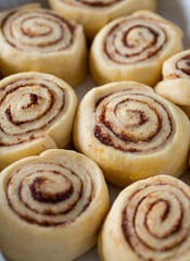 raw cinnamon rolls