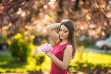 Charming girl in beautiful pink dress hold bunch of sakura in hands. Beautiful european girl near the japanese tree