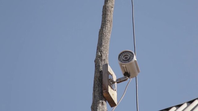 Professional security video camera on wooden pole outdoor