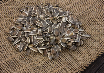 sunflower seeds in dry  sunflower grains, seed shell