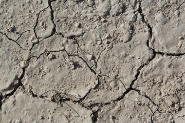 Ground texture
