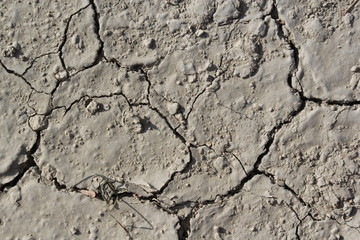 Ground texture