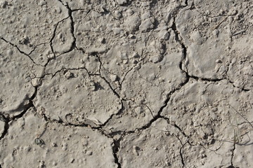 Ground texture