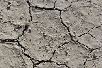 Ground texture