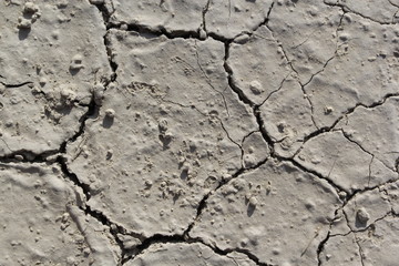Ground texture