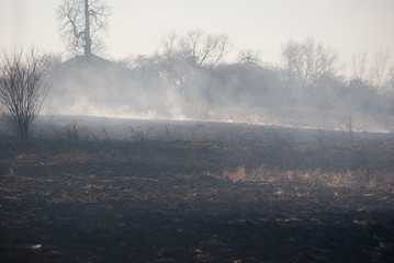 Burning field in the smoke, burnt grass at spring
