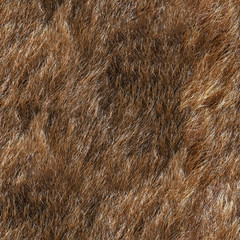 Seamless texture of animal fur
