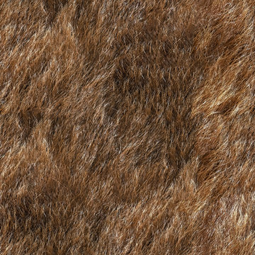Seamless texture of animal fur