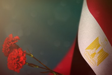 Egypt flag for honour of veterans or memorial day with two red carnation flowers. Glory to Egypt heroes of war concept on light blue dark velvet.