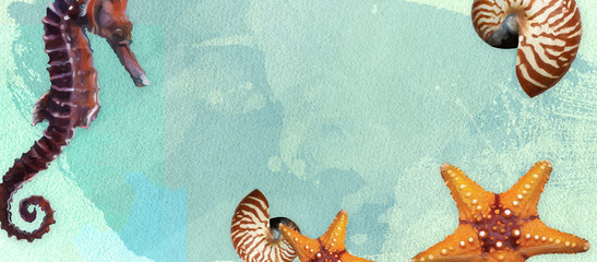 Sealife summer banner with oil paint and watercolor brushes. Seashell, seahorse, starfish  on a...